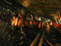 安徽pg电子赏金女王游戏集团电缆仪表广泛应用矿业领域