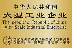 国家大型工业企业